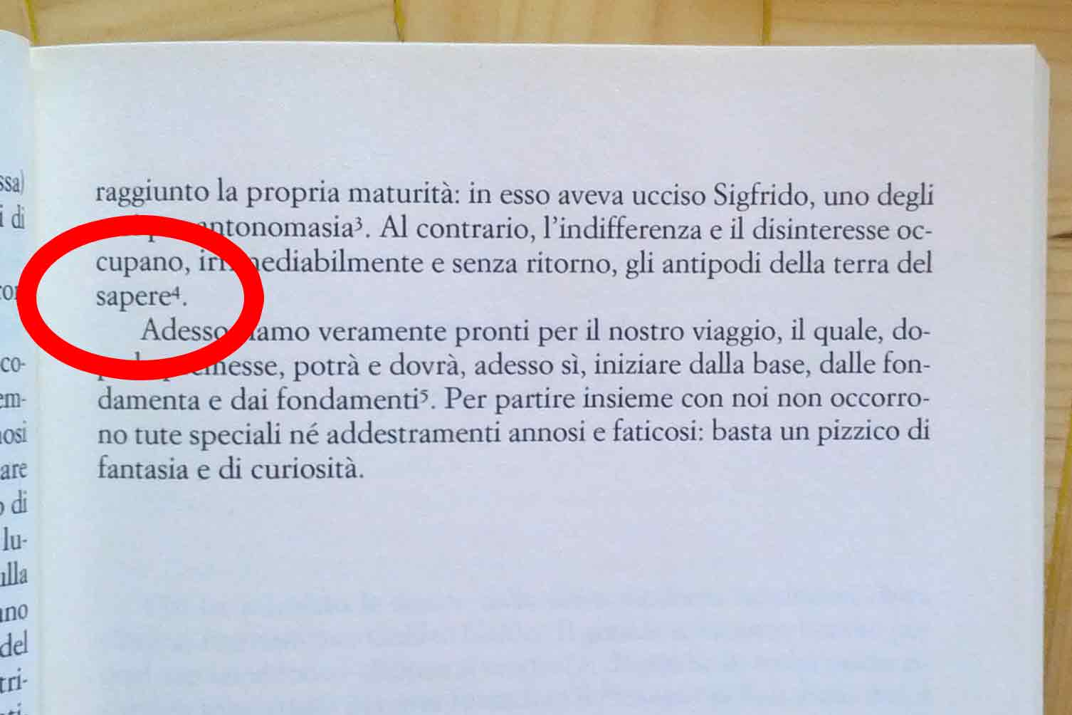 righino Esmpio di righino